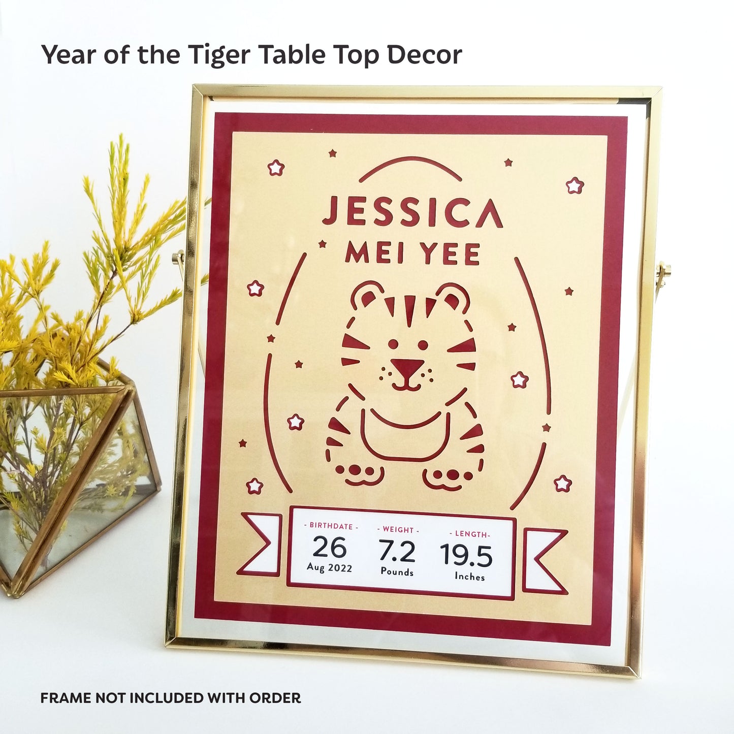 2022 Tiger Red Egg and Ginger Party Baby Sign, personalized